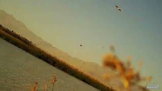 Utah waterfowl opener 2024