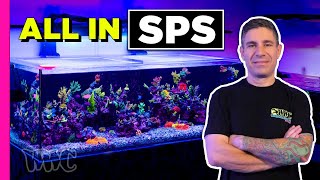 He Got Rid of All His Coral... For SPS?