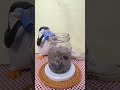 RHMB VS WATER ICE #experiment #asmr #shorts
