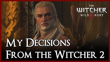Witcher 3: Wild Hunt - My Decisions from Witcher 2! | How to Import Game Saves | StrangeLuv