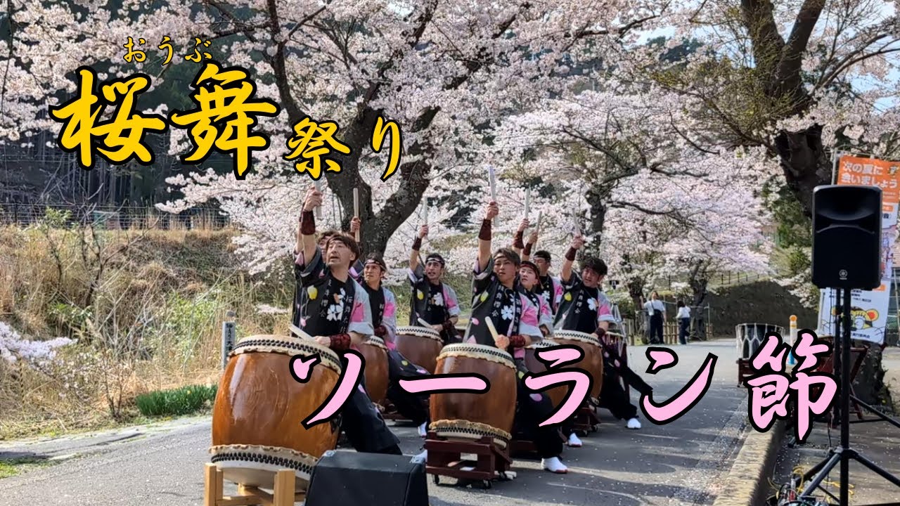 桜舞祭り2024〜ソーラン節〜