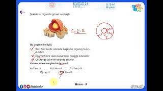 9. Sınıf Biyoloji Kazanım Testleri- 21 (2022 - 2023) Hücre-3
