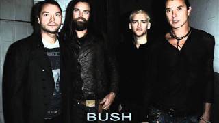 Bush - Be Still My Love