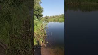 #раки #россия #краснаякнига #рыбалка #успех #природа #garden #лето #удача #огород #отдых#утросвами