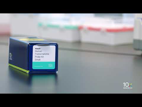 Visium for FFPE Gene Expression Protocol | Getting Started