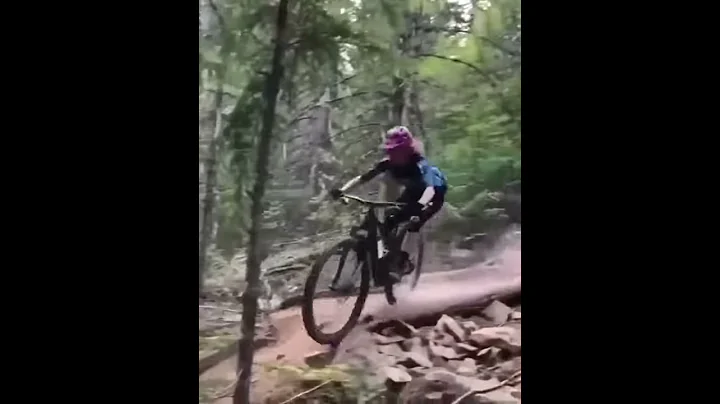 BIKER HITS TREE