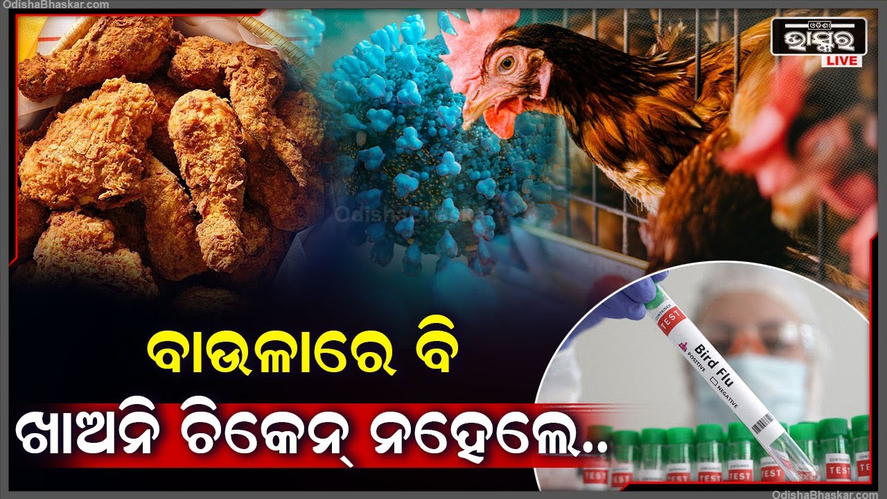 ରାଜଧାନୀରେ ଏଣ୍ଟ୍ରି ମାରିଲା ବାର୍ଡ ଫ୍ଲୁ...କେହି ଖାଉନାହାନ୍ତି ଚିକେନ୍‌,ଚିକେନ୍ ବଜାର ଖାଁ ଖାଁ