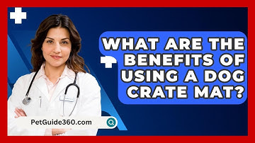 What Are The Benefits Of Using A Dog Crate Mat? - PetGuide360.com