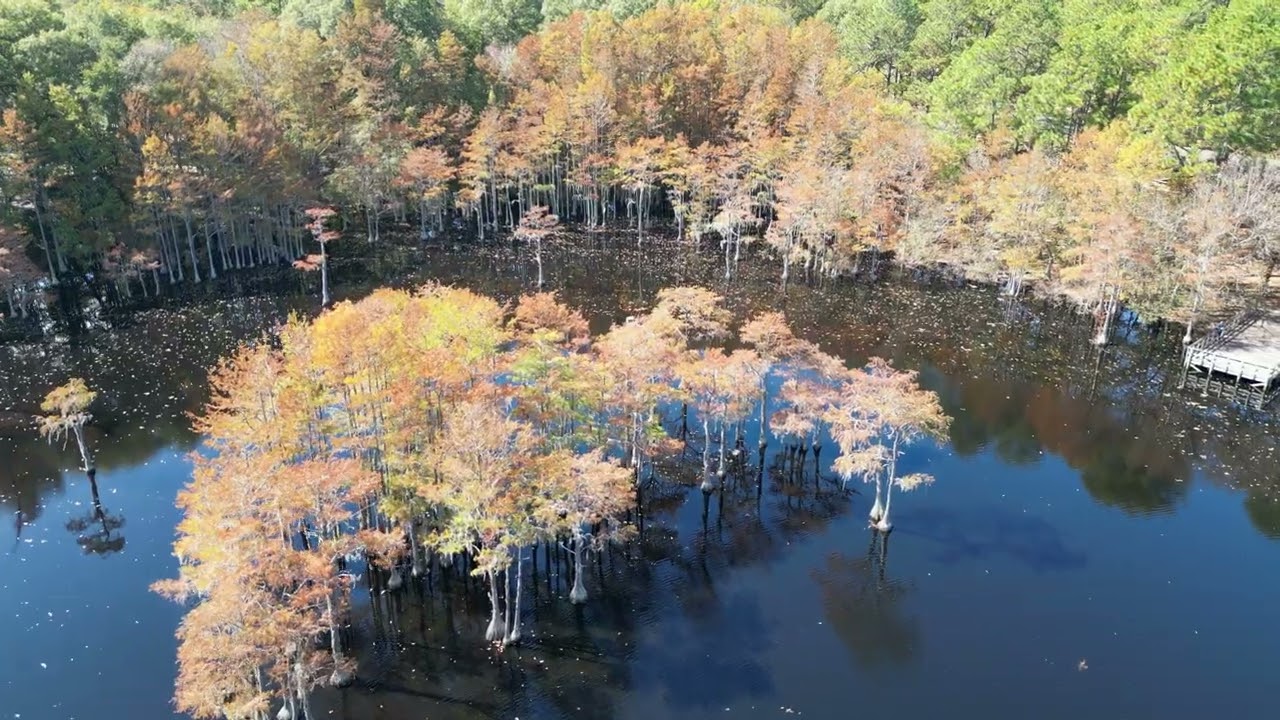 drone of George T  Smith