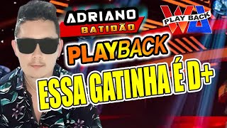 PLAYBACK | ESSA GATINHA E D+ | ADRIANO BATIDAO