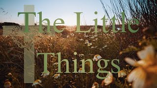 Second Sunday after Trinity: June 14th 2026