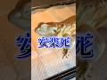 田中が難病にかかってしまいました。