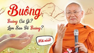 Buông Bỏ là Buông Bỏ Điều Gì? Trong Sáng là Trong Sáng như thế nào? HT. Viên Minh