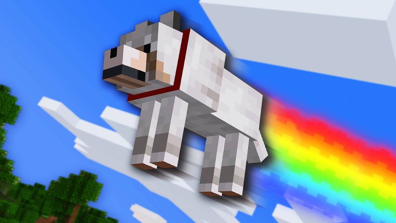 If Dogs Could Fly...