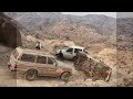شيله تركني الجيب