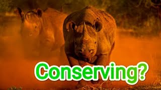 Rhino Charge 2026; In the Name of Conservation 