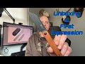 Sencut Bronte Folding Knife