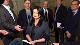 Manitoba Liberals Pledge Money For Autistic Kids