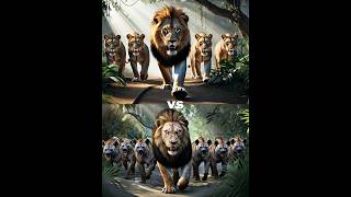 Simba Vs Scare