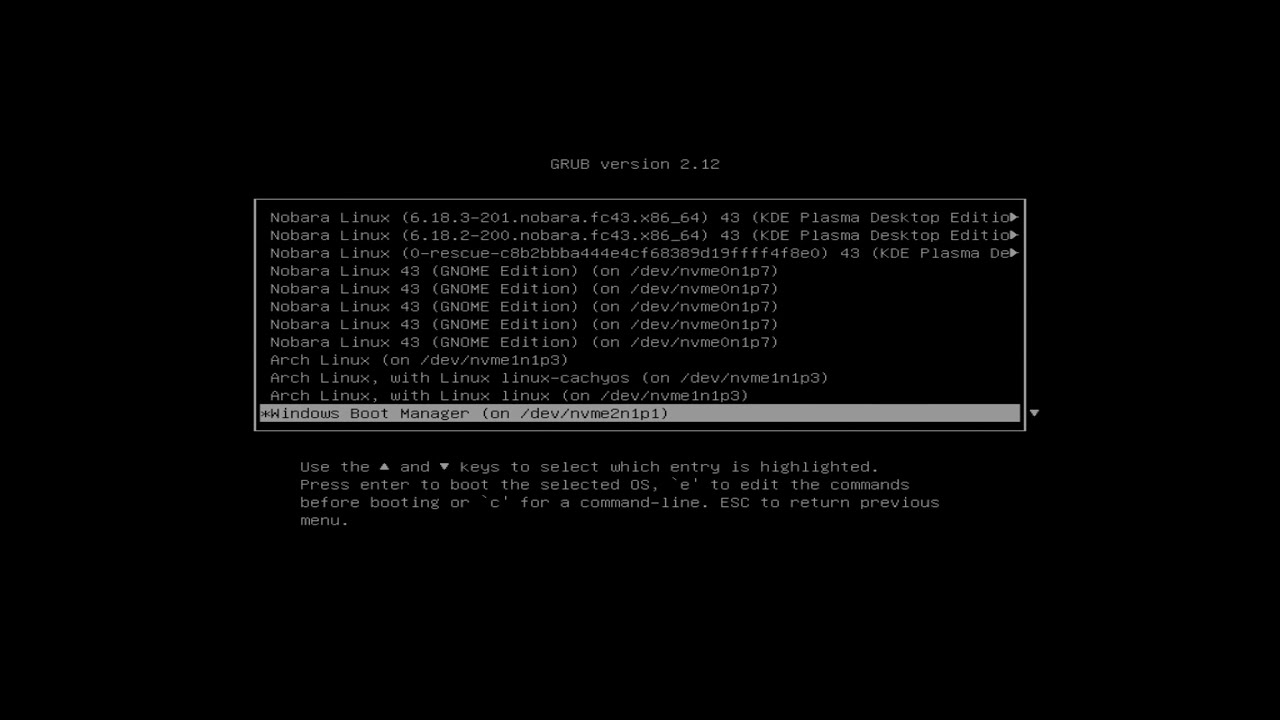 Dual Booting Windows and Linux - with only One Drive