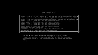 Dual Booting Windows and Linux - with only One Drive