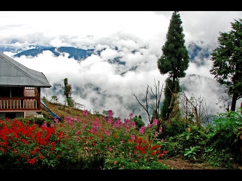 Lava :  Pine Forest , Clouds , Birds , Monastery ,  Labha , Kalimpong , Darjeeling, Lava WBFDC ,