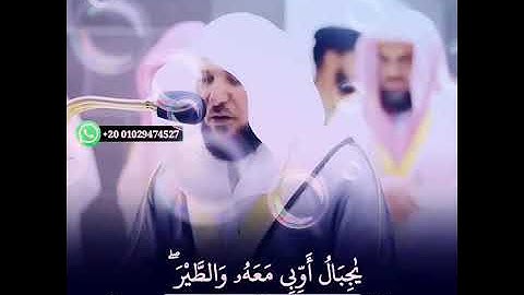 تلاوة تشرح الصدر من الشيخ ماهر المعيقلي 🍃🍃