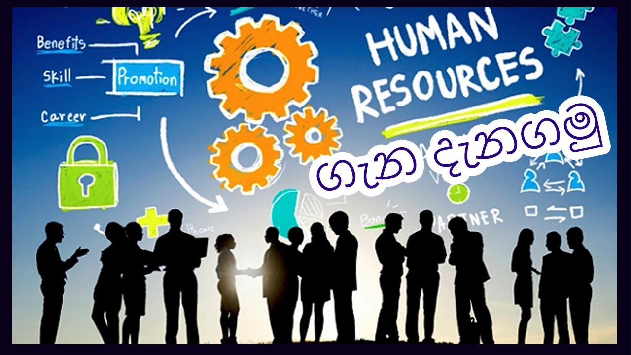 HR Courses in Sri Lanka | Tech House SL - YouTube