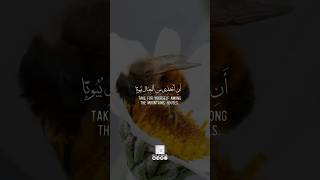 Surah Al-Nahl | 68-69 | Sheikh Khalid Al-Jaleel | Sehr Al-Quran | #quran #quranstatus #shorts #surah