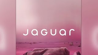 ‘No one is buying DEI’: Jaguar slammed over bizarre new ad