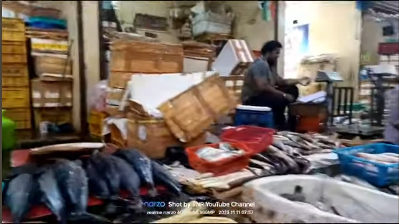 Chennai Chintadripet Fish Market Wholesale & Retail Price I