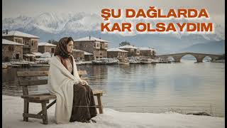 Şu Dağlarda Kar Olsaydım - Psychedelic Anatolian Folk Resimi