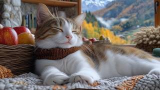 12 Hours Of Cat Sleep TV 🐈Soft Piano Music for Cats🎵Cozy Relaxation, Peaceful Rest and Gentle Dreams screenshot 2