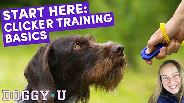 Clicker Training: How to Load a Clicker for Training and Why I Use One