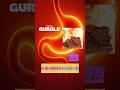 Steak Gurgle #ASMR #OddlySatisfying #DailyGurgle #Digestion #Gurgle