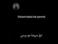 اغنيه والله شكلي حبيتك بلطريقه التركيه Valla dert oldun bana, şarkı s&ouml;yle