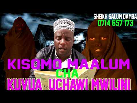 Video: Nyumba Zilizoingiliwa Kwenye Sinema