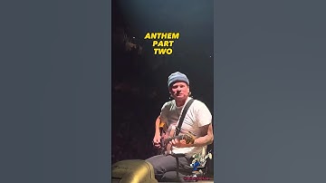 Anthem Part 2 Live #blink182