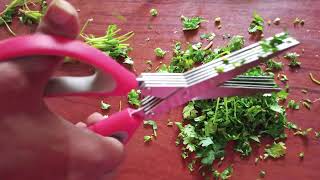 Vegetable Cutting Scissors Unboxing & Review | Best Kitchen Essentials !