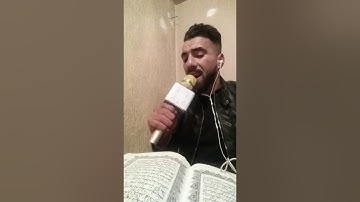 محمد أمين .سورة غافر