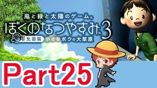 【ぼくのなつやすみ３】赤髪のともの実況プレイ Part25