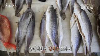 생방송 경남아 사랑해 오데 가노 2016 11 24