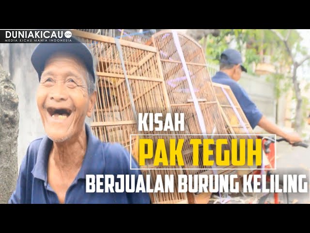 Di USIA LANJUT Ini Berjualan BURUNG Keliling | SEHAT TERUS MBAH!!! class=