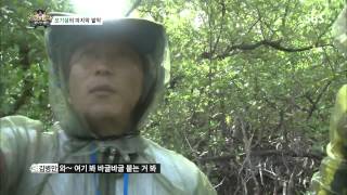정글의법칙 130802 #22(11)