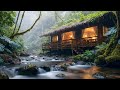 Peaceful Rainforest Cabin 🌧️ Relaxing River Sounds for Deep Sleep &amp; Calm Mind