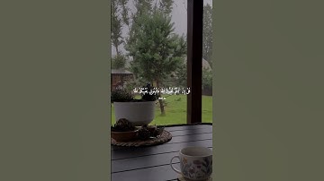 القرآن الكريم 💛