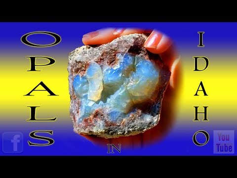 Opals in Idaho