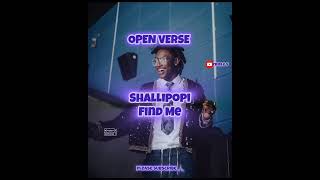 Shallipopi - Find Me (Open Verse) Freebeat Instrumental Hook + Beat by Triple V afrobeat amapiano