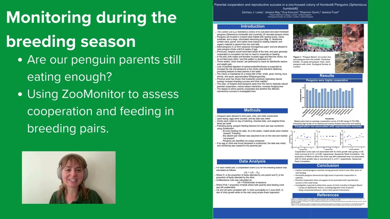 ZSL Penguin Management presented during the ABMA's 2025 Behavior Month