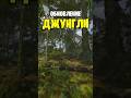 НОВОЕ ОБНОВЛЕНИЕ ДЖУНГЛИ УЖЕ ДОБАВИЛИ В РАСТ \ RUST